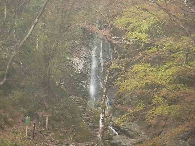 参考画像