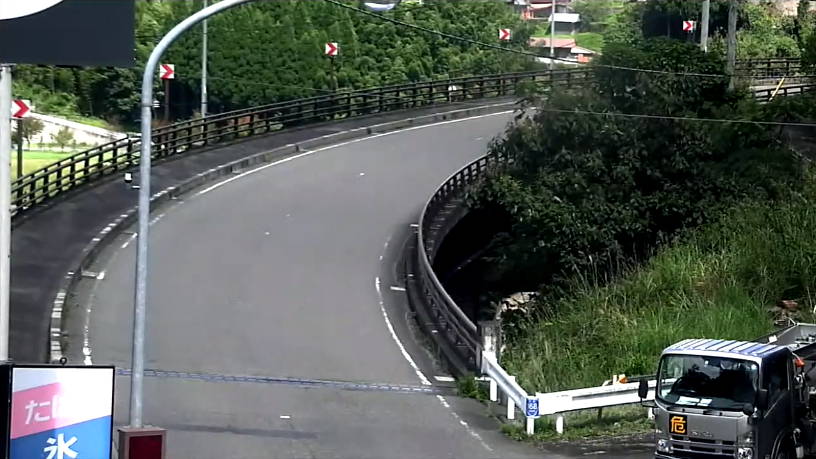 参考画像