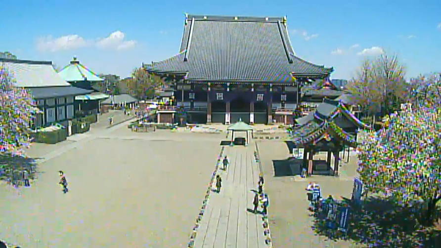 参考画像