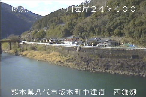 参考画像