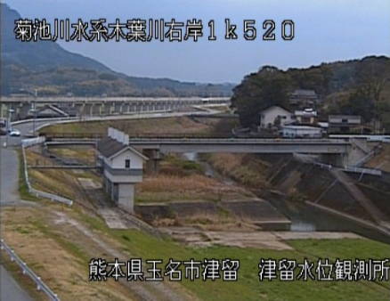 参考画像