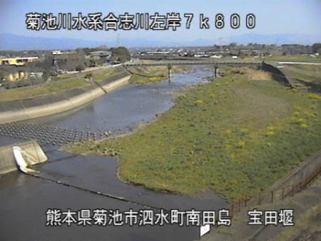 参考画像
