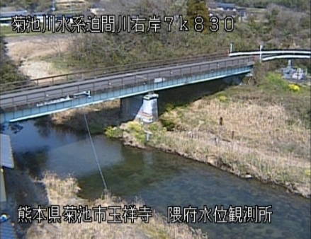 参考画像