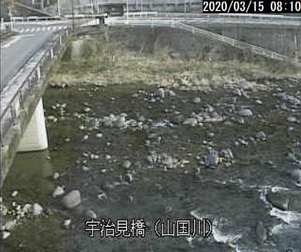 参考画像