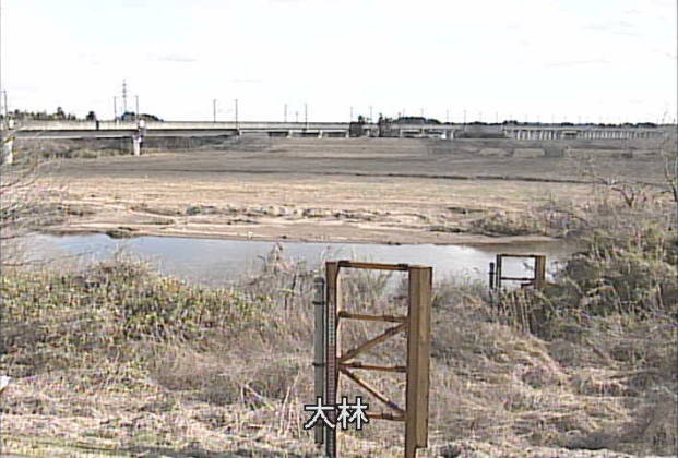 参考画像