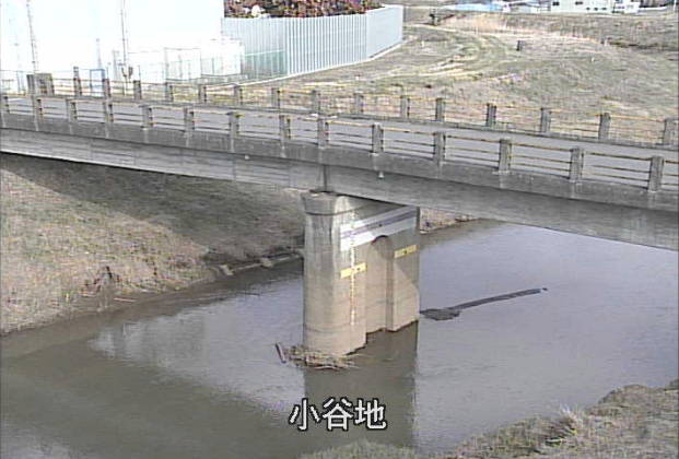 参考画像