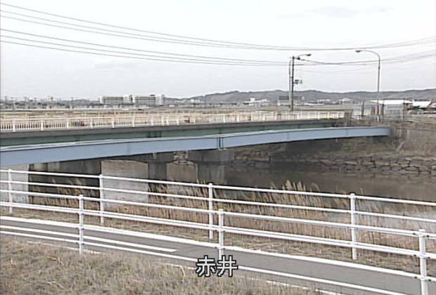 参考画像