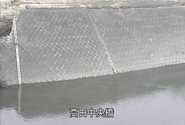 参考画像