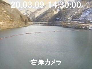 参考画像