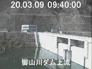 参考画像