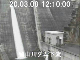 参考画像