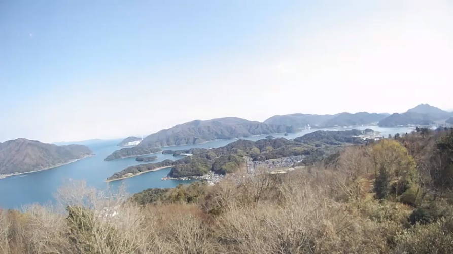 参考画像