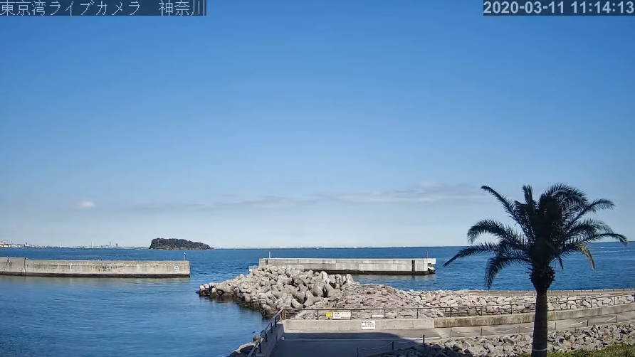 参考画像