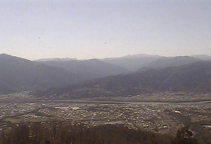 参考画像