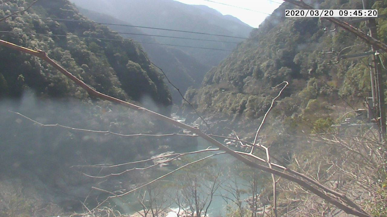 参考画像