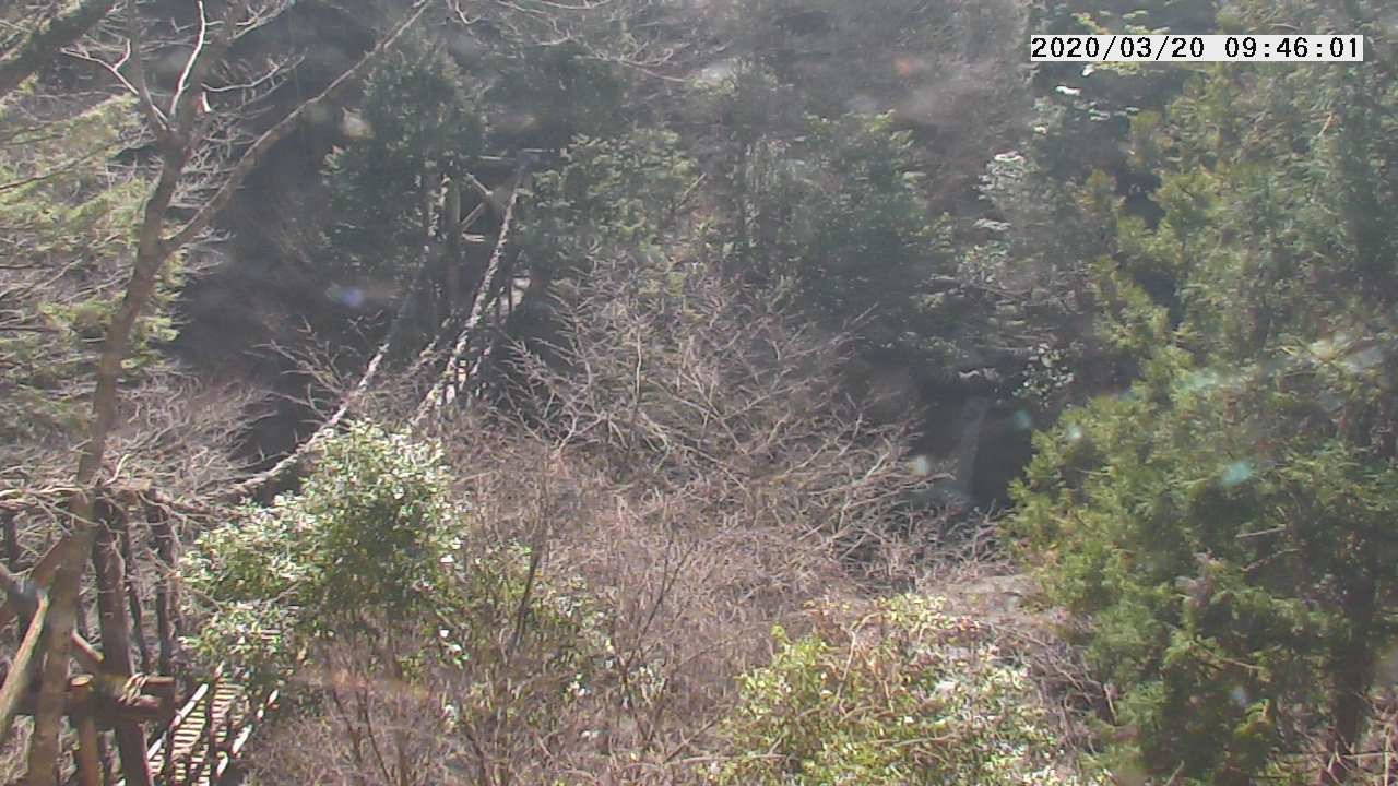 参考画像