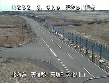 参考画像
