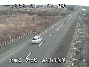 参考画像