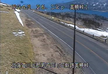 参考画像