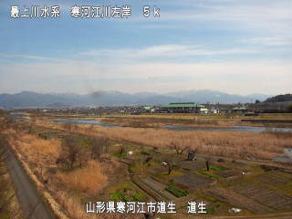 参考画像