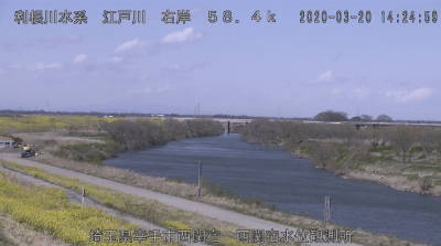 参考画像
