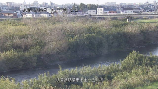 参考画像
