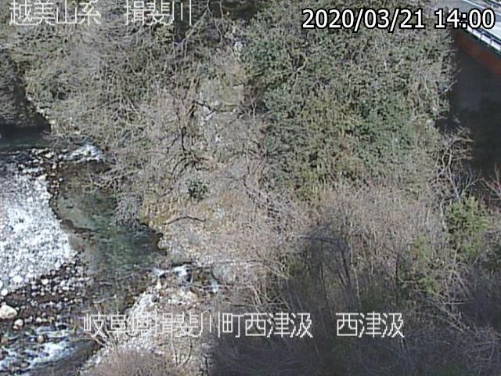 参考画像