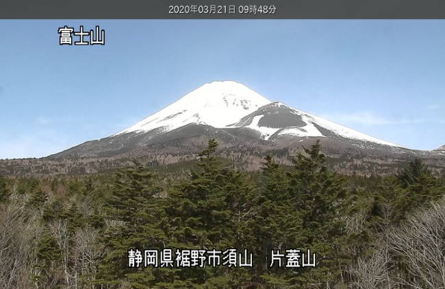 参考画像