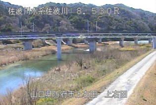 参考画像