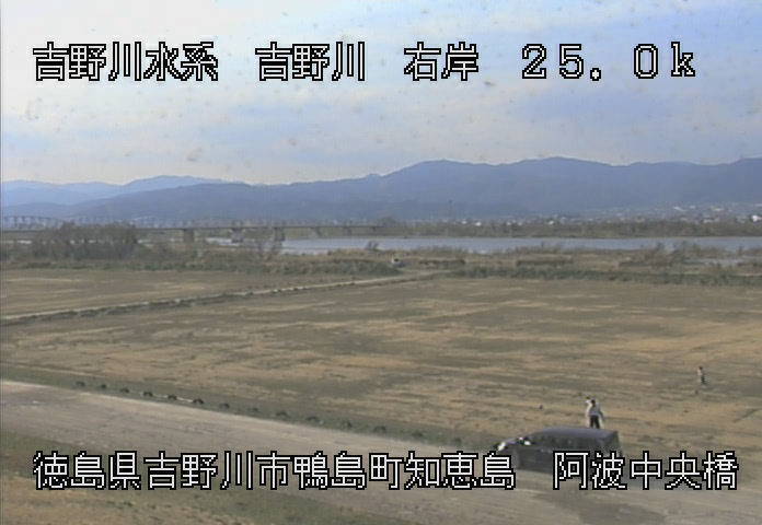 参考画像