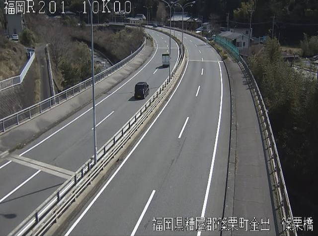 参考画像