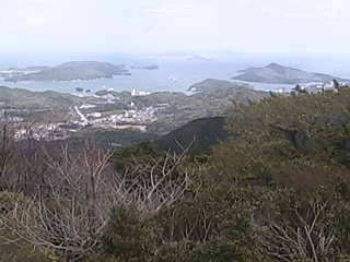 参考画像