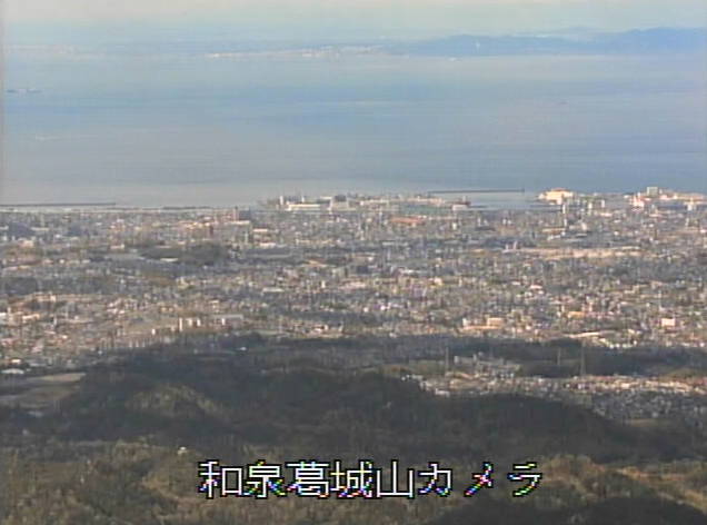 参考画像