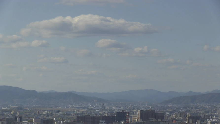 参考画像