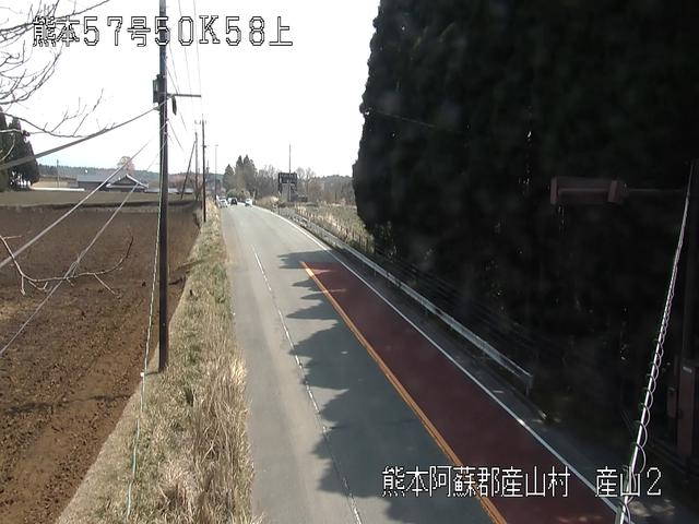 参考画像