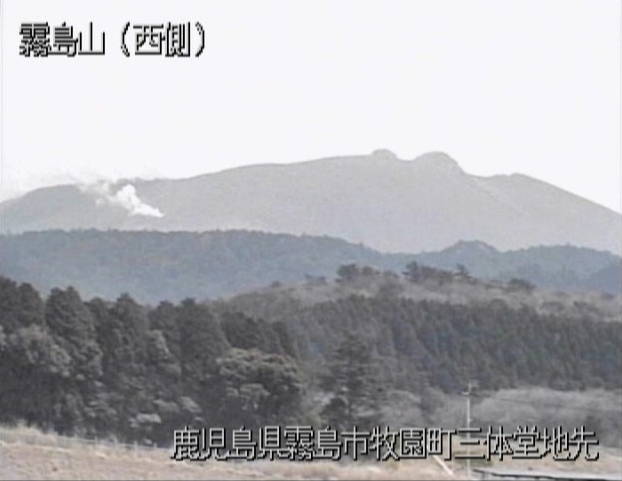 参考画像