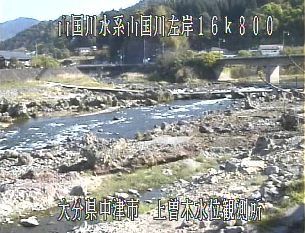 参考画像