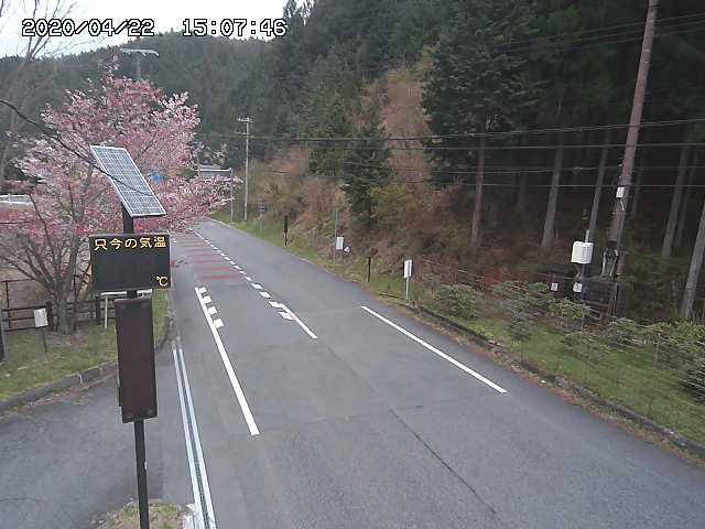 参考画像
