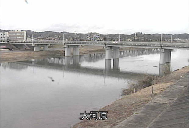 参考画像