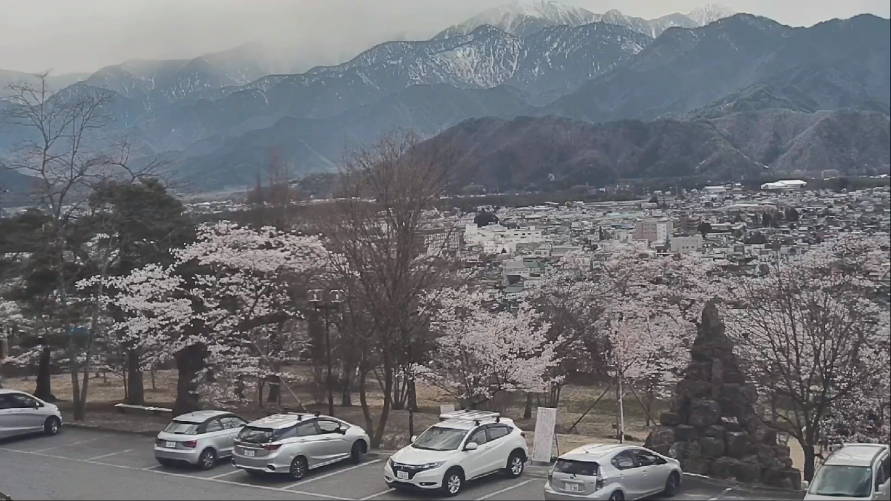 参考画像