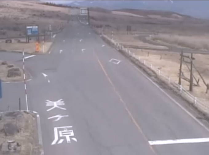 参考画像
