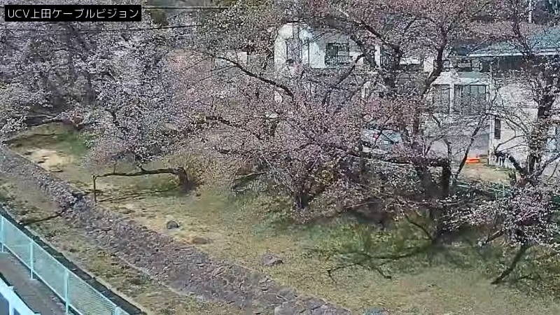 参考画像