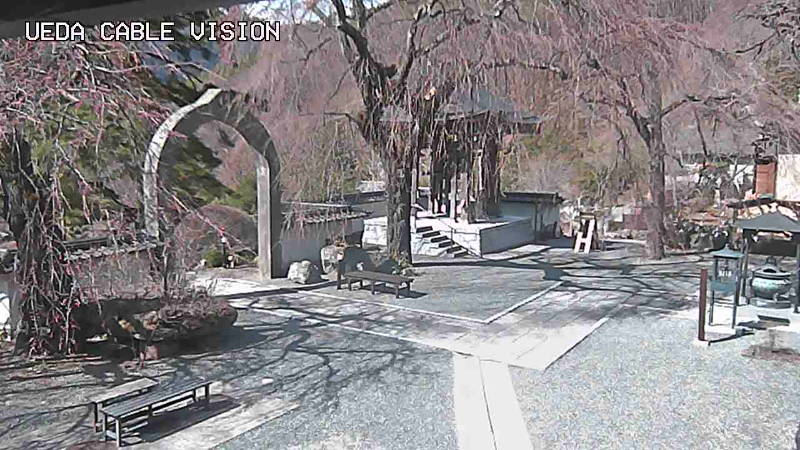 参考画像