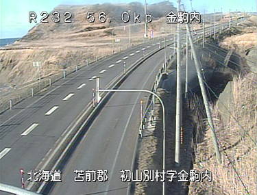 参考画像