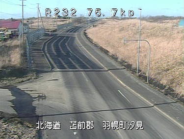 参考画像