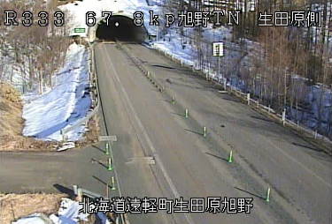 参考画像