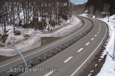 参考画像