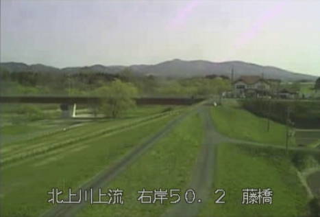 参考画像