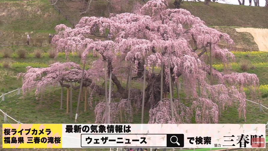 参考画像