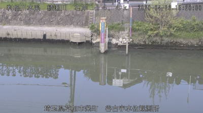 参考画像